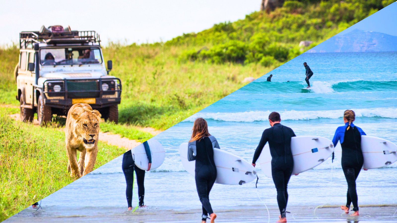 Surf camp Cape Town